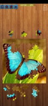 Butterfly Jigsaw Puzzle Game Image