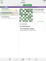 Chess Middlegame V Image