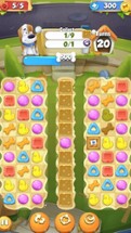 Cute Pet Match 3 Games Puzzle-Matching Jewels Saga Image