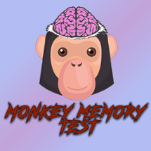 Monkey Memory Test Image