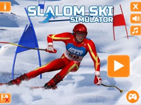 Slalom Ski Simulator Image