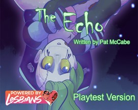 The Echo Image