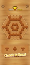 Wooden Block Puzzle - Extreme Image