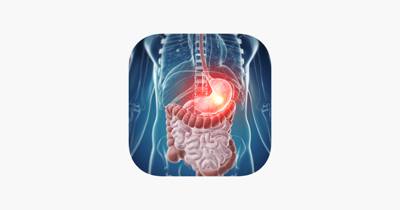 Digestive System Medical Terms Game Cover