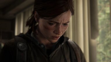 The Last of Us Part II Image