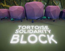 Tortoise Solidarity Block Image