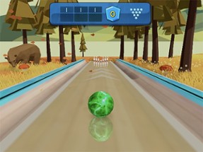 3D Bowling - My Ten Pin Games Image