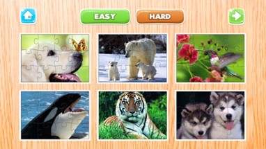 Animals Puzzle for Adults Jigsaw Puzzles Game Free Image