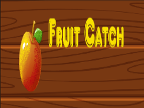 Fruit catch Image