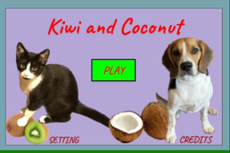 Kiwi and Coconut Image