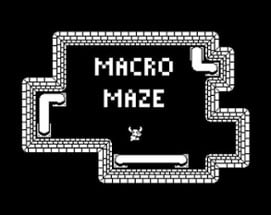 Macro Maze Image