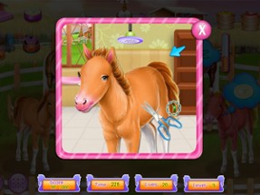 Horse and pony caring game Image