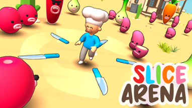 Slice Arena Image