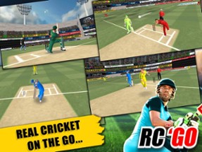 Real Cricket™ GO Image