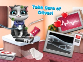 Sweet Baby Girl Cat Shelter – Pet Vet Doctor Care Image