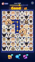 Animal Onet- Tile Connect Image