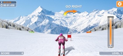 Slalom Ski Simulator Image