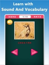 Who Am I - Learn with Animals for Kids Image