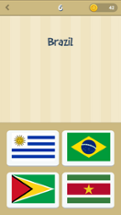 World Flags Quiz Image