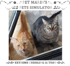 Pet Marin's Pets Simulator Image