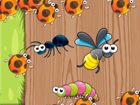 Insects Puzzles for Toddlers Image