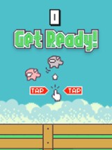 Bouncy Pig - Flappy Wings Image