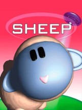 Sheep Image