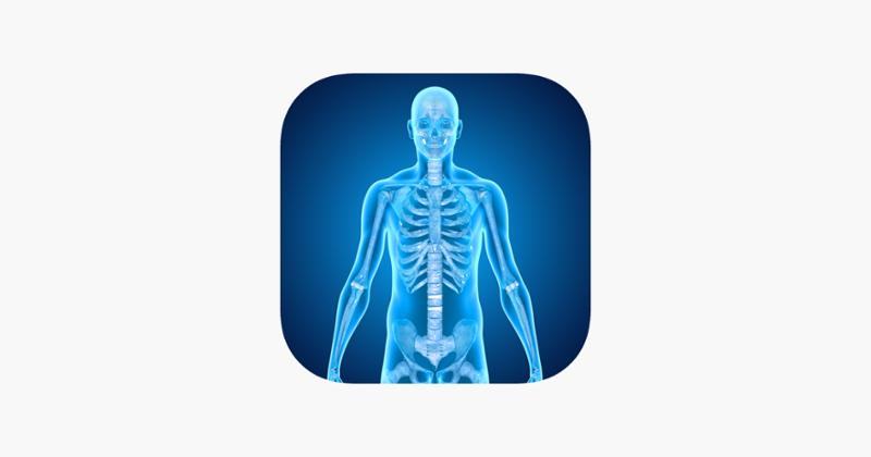 Skeletal System Medical Terms Game Cover