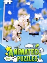 Animated Puzzles Image