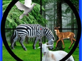 Real Jungle Animals Hunting Image
