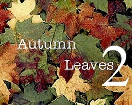 Autumn Leaves II Image