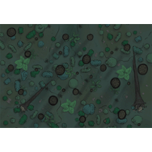 Battle Maps: Jungle Maps 01 for DnD PF2E & other TTRPGs Image