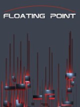 Floating Point Image