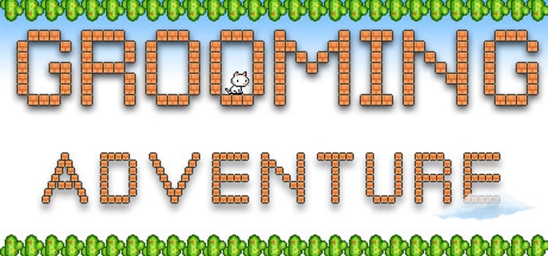 Grooming Adventure Game Cover