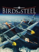 Birds of Steel Image
