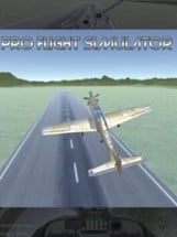 Pro Flight Simulator Image