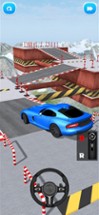 Real Driver 3D Image