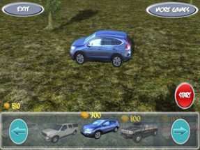 SUV Drive 3D Image