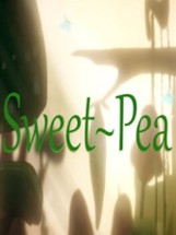 Sweet Pea Image