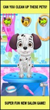 Baby Pet Hair Salon Makeover Image