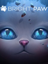 Bright Paw Image