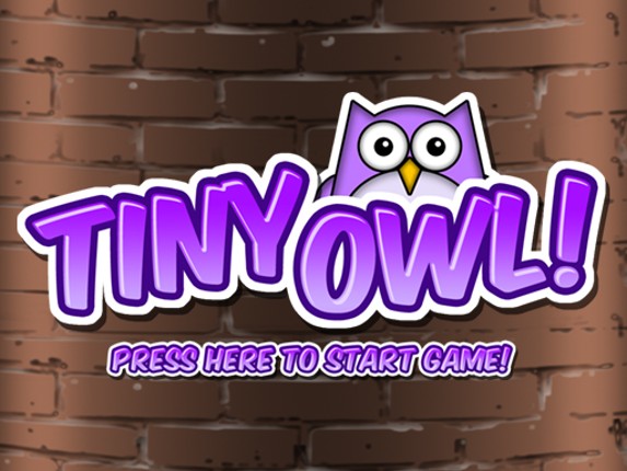 Tiny Owl Game Cover