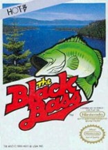 The Black Bass Image