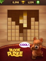 Block Puzzle Wood Image