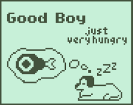 Good Boy... just very hungry Image