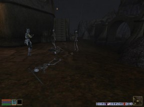 Shandir follower (Morrowind mod) Image