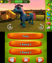 101 Pony Pets 3D Image