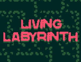 Living Labyrinth Image