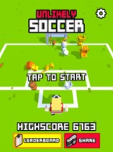Unlikely Soccer Image