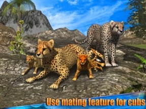 Angry Cheetah Simulator 3D Image